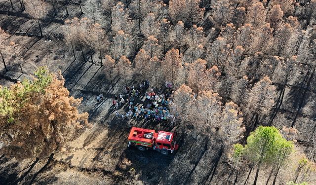 Soma'da yanan alanı öğrenciler inceledi