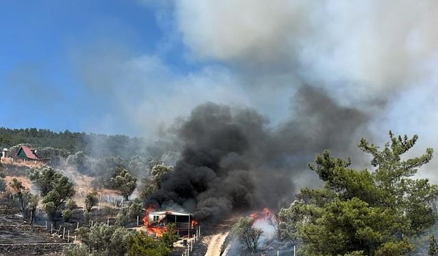 İzmir'de ormanlık alana sıçrayan yangın kontrol altına alındı