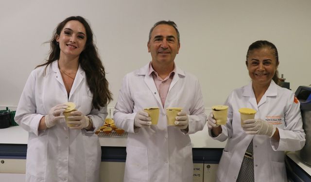Plastik kullanımını azaltmak için portakal kabuğundan yapılan ambalaj patent aldı