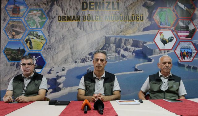 Denizli'de yangınlarda zarar gören alanlar 2 milyon 556 bin fidanla yeşillendirilecek