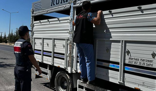 Uşak'ta şap hastalığı nedeniyle araçlarda sıkı denetim