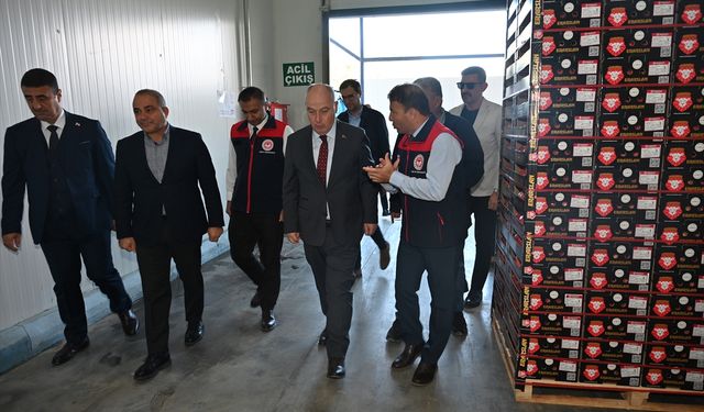 Denizli'nin narı kalitede İsrail narını geçti!
