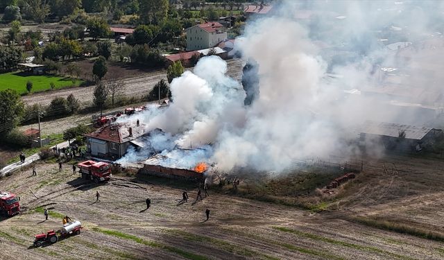Kütahya'da odunlukta başlayan yangın evi ve araçları küle çevirdi