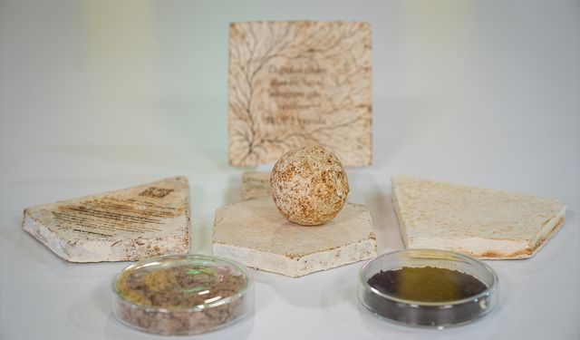 İzmir'de mantar ve organik atıklardan yalıtım malzemesi geliştirildi