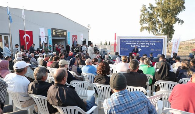 İzmir'de besicilere hibe olarak 210 küçükbaş dağıtıldı