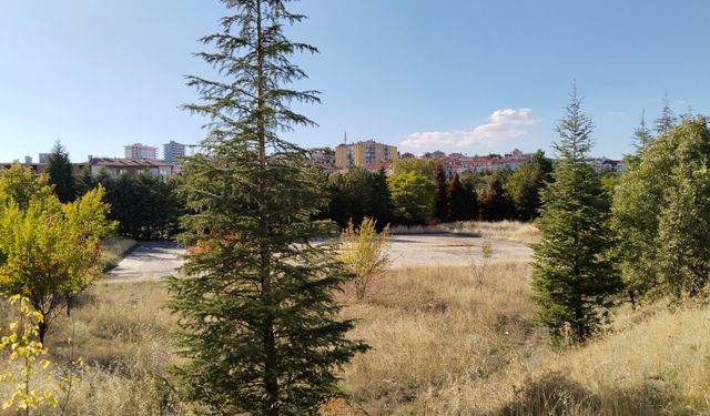 Uşak'ta şarapçıların mekanı haline gelen bölgeyi kurtaracak adım!