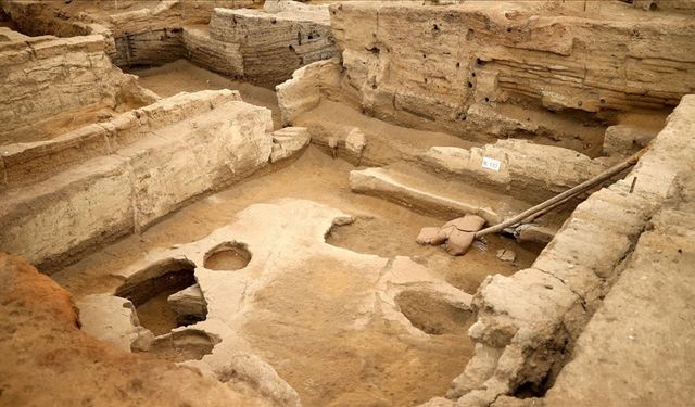 Kütahya'da 4 bin yıllık nohut, Çatalhöyük'te 8 bin 600 yıllık ekmek kalıntıları bulundu