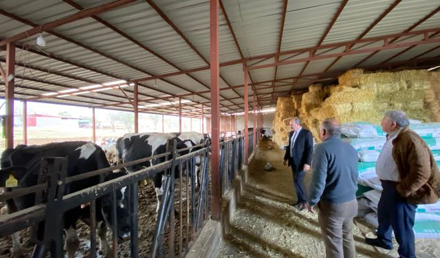 Uşak Karahallı Karayakuplu'daki üretici Şenol Büyükyozgat örnek gösterildi