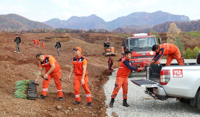 Muğla'da Milli Ağaçlandırma Gününde binlerce fidan toprakla buluşacak