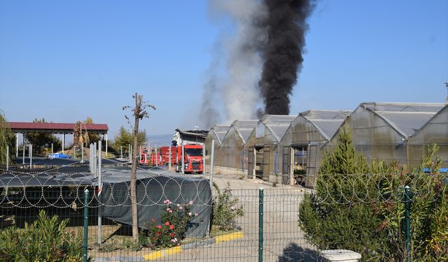 Manisa'da sera yangını söndürüldü