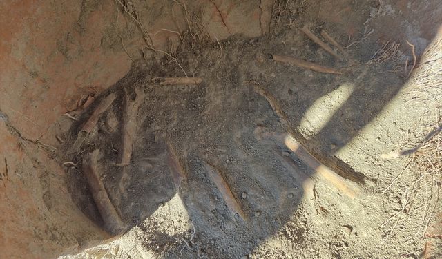 Denizli'de arazide insana ait kemik parçaları bulundu