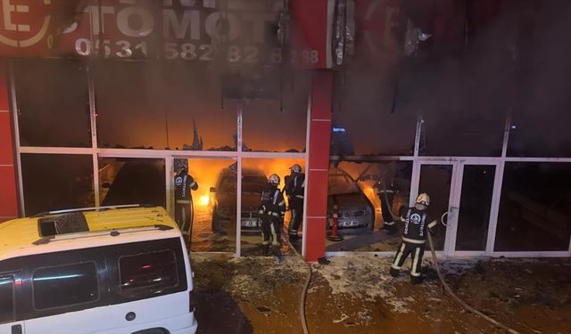 Denizli'de oto galeriyi kundaklayan yakalandı!