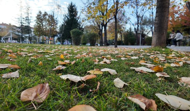 Uşak'ın işlek yeri Atapark'ta sonbahar güzelliği! Çemberin dışındaki curcuna bu güzelliğin önüne geçebiliyor!