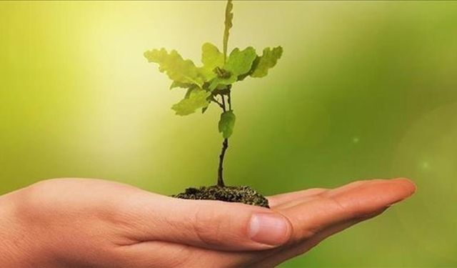 Ağır sanayiden derin emisyon kesintileri yapmadan hedeflere ulaşmak zor