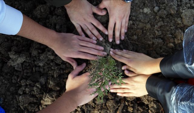 Milli Ağaçlandırma Günü'nde çifte rekor !