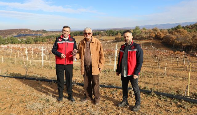 Uşak'ta hastalığın girmediği bağ ve bahçeleri ziyaret ettiler