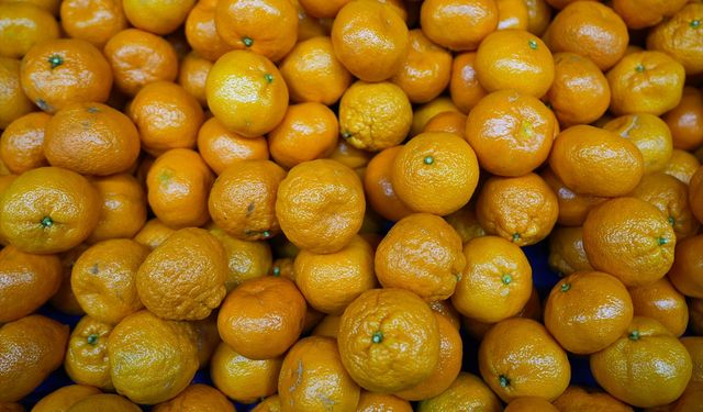Türkiye mandalina ihracatında rekor kırdı!