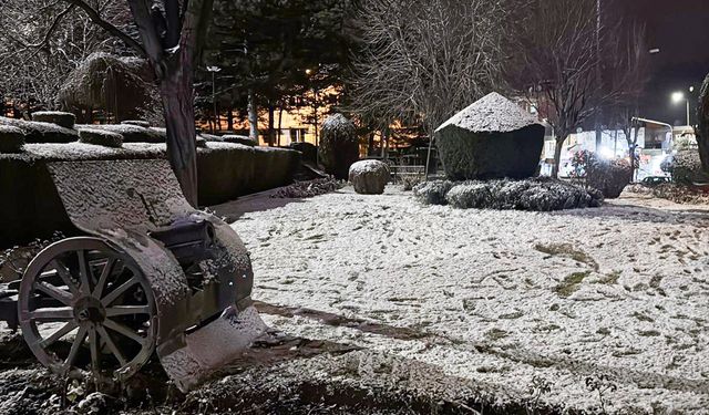 Afyonkarahisar'da dün akşam kar yağışı etkili oldu
