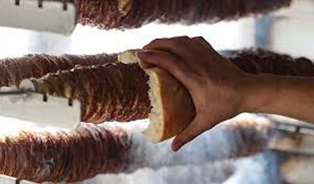 Manisa'da insan sağlığı bu kadar ucuz mu! 4 milyon TL değerinde bozulmuş kokoreç yakalandı!