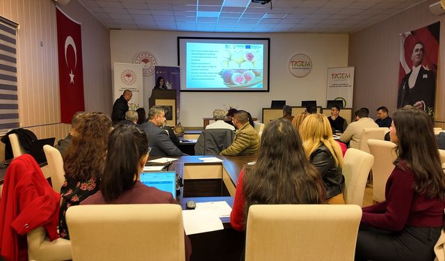 Uşak, incir diyarı Aydın'a yol gösteriyor