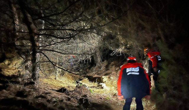 İzmir'de kaybolan 67 yaşındaki Safiye Aktürüm bulundu!