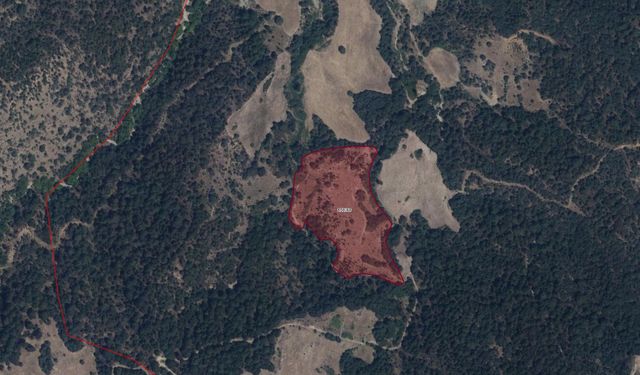 Uşak Eşme Dereli köyündeki tarihi mezarlık alanı için önemli karar! Kaçak kazı yapanlar yandı!