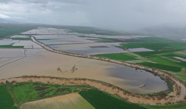 Aydın'da sağanak Büyük Menderes Nehri'ni taşırdı!