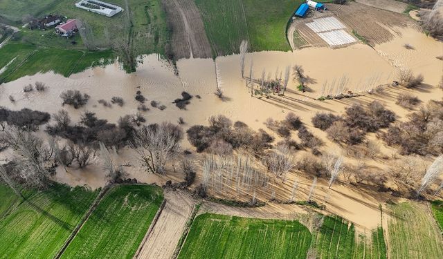 Gediz Nehri, Uşak'ın Yenişehir köyünde taştı!