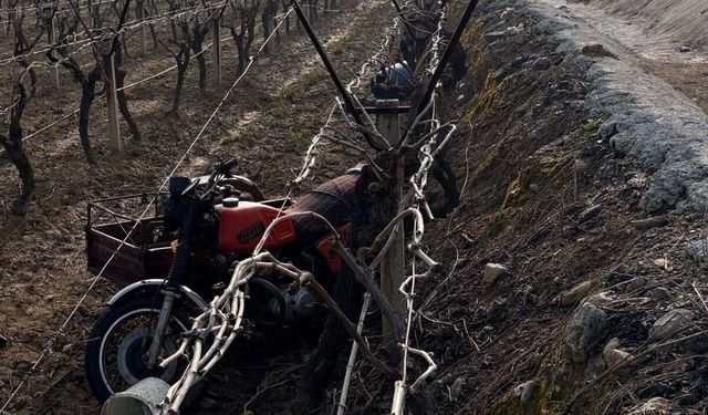 Salihli Köseali mahallesinde devrilen sepetli bisikletin sürücüsü hayatını kaybetti