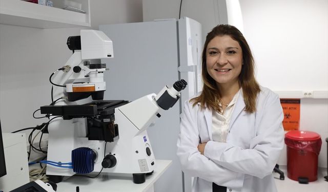 İzmir Ekonomi Üniversitesi'ndeki akademisyenler kemik erimesine karşı ilaç geliştirdi