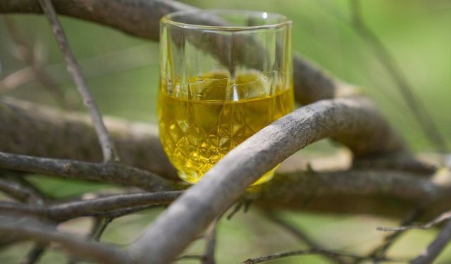 Seferihisar'daki tadım merkezinde 90 farklı lezzet sunuluyor