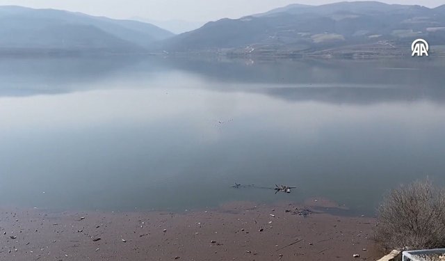 Uşak Eşme'nin komşusu Alaşehir'deki Avşar Barajı yüzde 75'e kadar doldu!