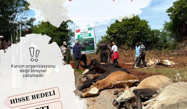 Uşak'taki gönüllüler, Tanzanya ve Sudan'da kurban paylarını dağıtacaklarını bildirdi