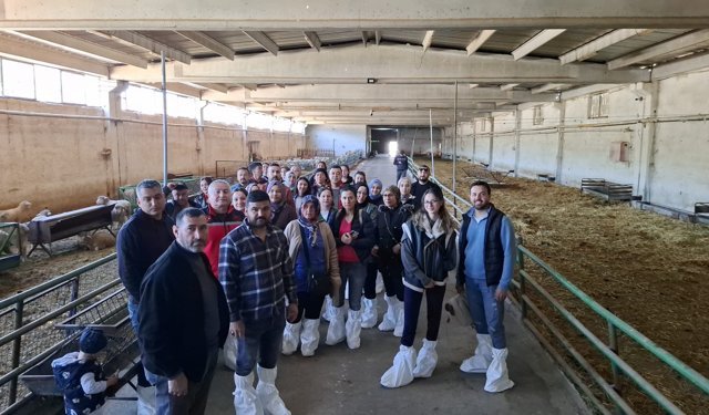 Uşak’ta sürü yönetimi kursu bu kez Sivaslı’da uygulandı