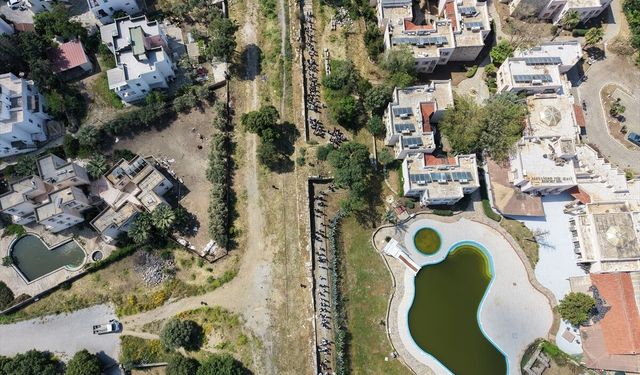 Bodrum Halikarnassos Surları'nda ve Antik Myndos'ta anlamlı etkinlik