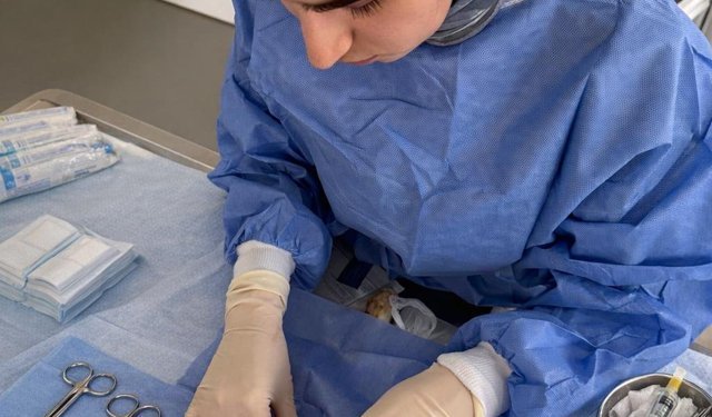 Evcil hayvan bakımıyla ilgili doğru sanılan yanlışlar neler?