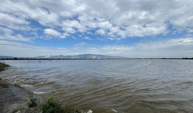 Uşak’tan doğan Büyük Menderes taştı! 65 bin dönüm tarım arazisini su bastı!