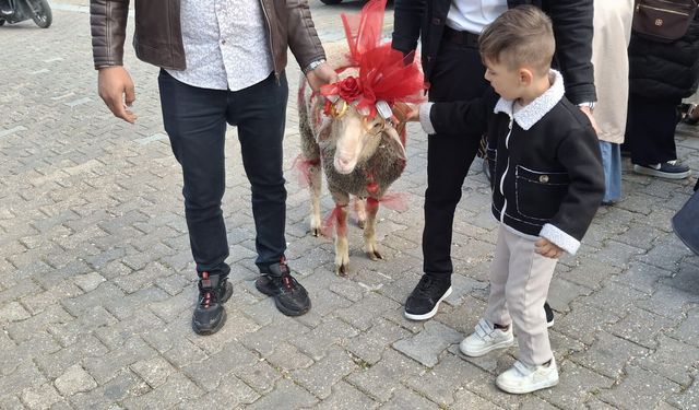 Uşak'ta nişanlı gence bayram öncesi koç hediye etme geleneği yaşatılıyor