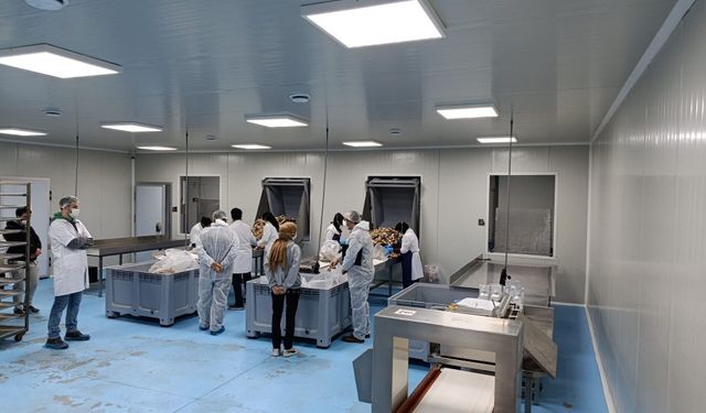 Uşak’ta yem işletmelerine yönelik denetimler yapıldı