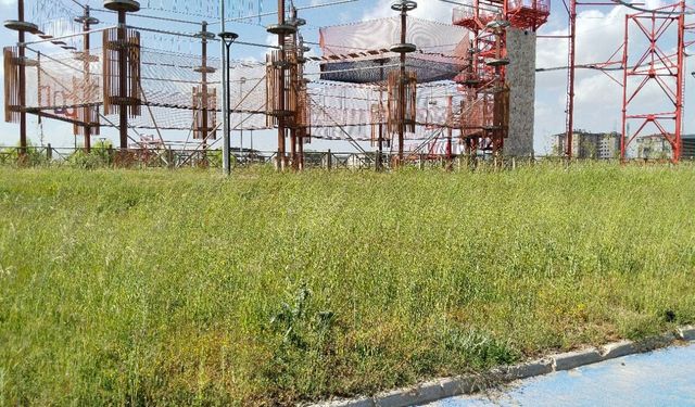 Uşak'taki parkta çıkan kenelerin ardından açıklama! Çocuklara sağlıklı oyun alanı sağlamak yerel yönetimin görevidir!