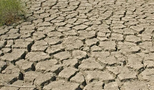 Uşaklı üreticiler tarımsal ekonomi konusunda dikkatli olmalı! Temmuz’da El Nino hava olayı bekleniyor!