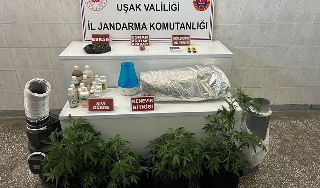 Zehir tacirlerine yönelik operasyonlar Uşak’ta devam ediyor
