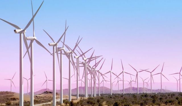 Uşak'ta elektrik üreten Aydem'in alt şirketleri gelişmiş dağıtım yönetim sistemini tercih etti