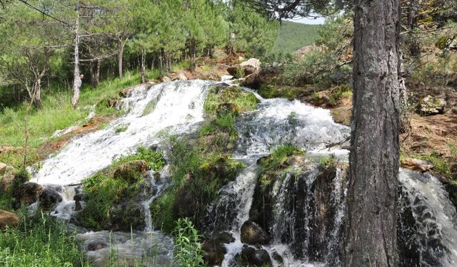 Uşak'ta doğanın hediyesinin rotası! Tek başınıza kesinlikle ama kesinlikle gitmeyin!