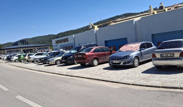 Gediz'deki bu tesisin otoparkında çok fazla Uşak plakalı araç var