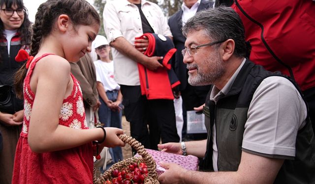 Kemalpaşa'da kiraz hasadına katılan Bakan Yumaklı, bu yıl bolluğun olduğunu ifade etti