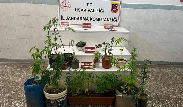 Uşak’ta yasaklı madde ticaretine yönelik operasyonlar sürüyor