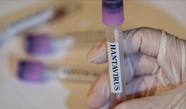 Doğal yaşam alanlarına yönelik insan müdahalesi hantavirüsün yayılma riskini artırıyor