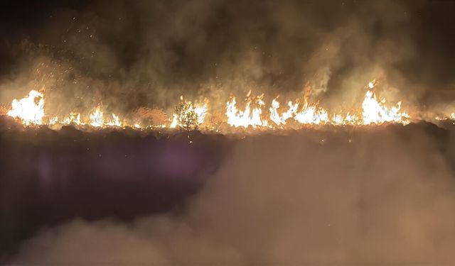 Bodrum'da rüzgarın etkisiyle büyüyen yangın söndürüldü