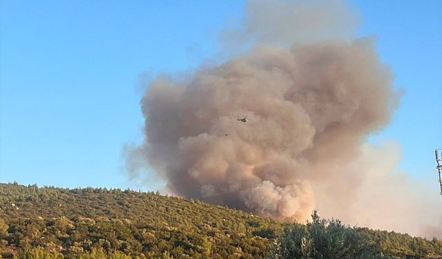 Milas Gürçamlar ve Bozbük'teki yangın nedeniyle 1120 vatandaş güvenli alana geçirildi